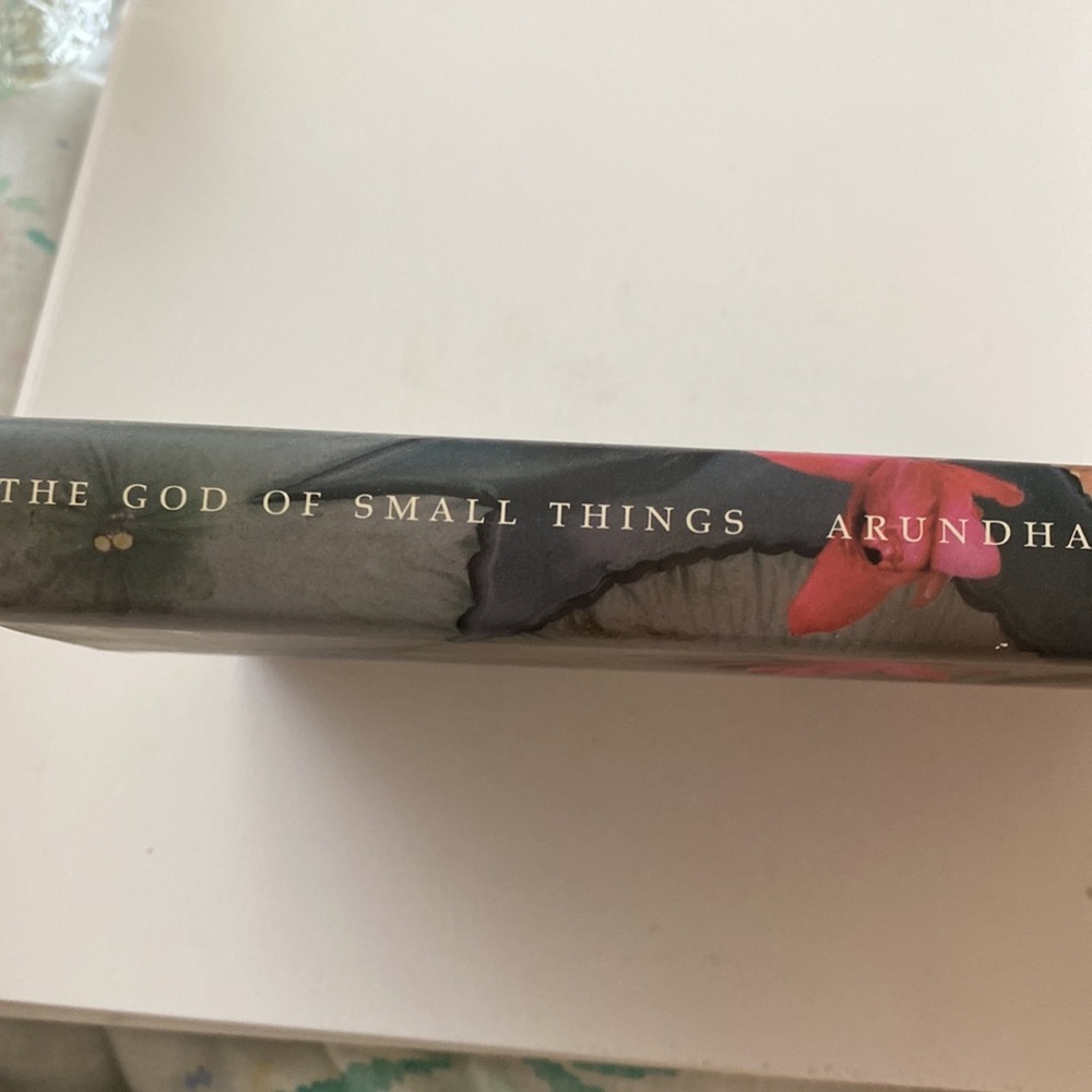 THE GOD OF SMALL THINGS  A NOVEL by ARUNDHATI ROY - Picture 2 of 3